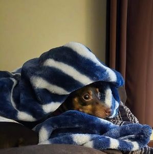 Meet your Posher, Jocelyn